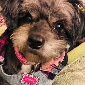 Meet your Posher, Dulce